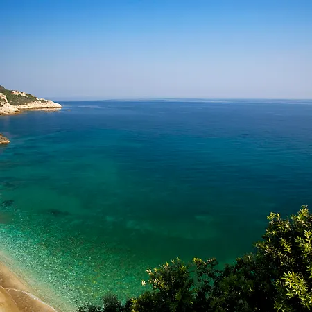 12 Months & מלון